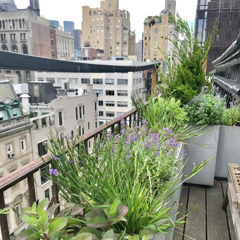 Upper East Side Terrace