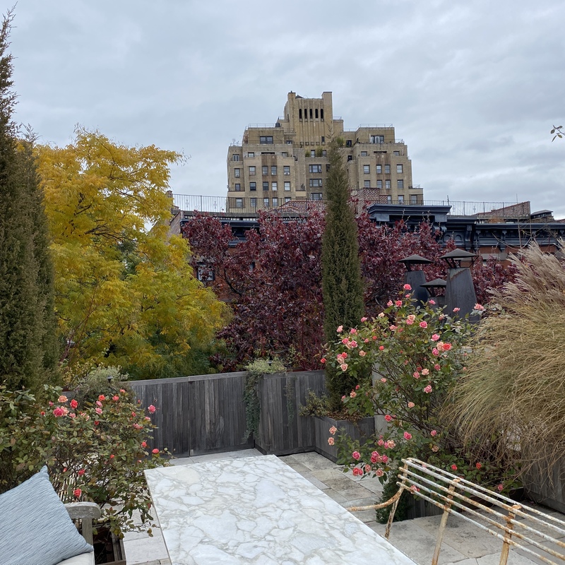 Roses and Juniper Rooftop